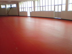 石家莊、唐山、秦皇島、邯鄲、邢臺PVC塑膠地板供應 專業(yè)運動場地解決方案